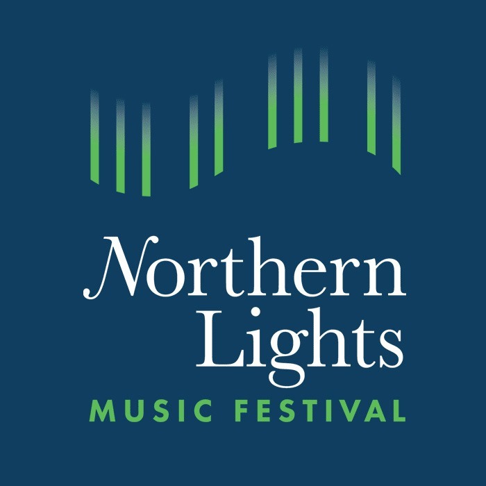 Identity Design for Northern Lights Music Festival in Jalisco Mexico
